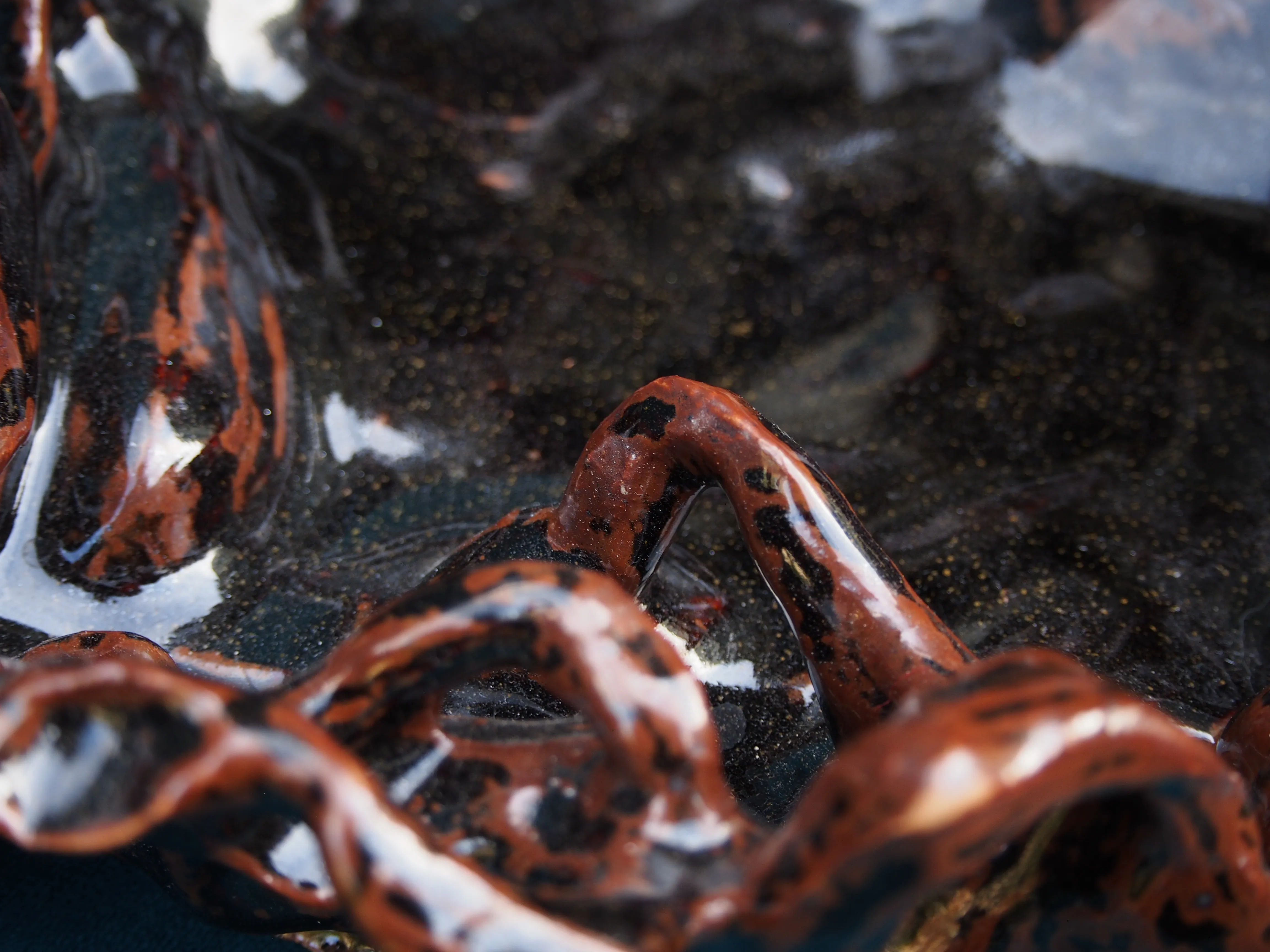 Gallery image for product-4