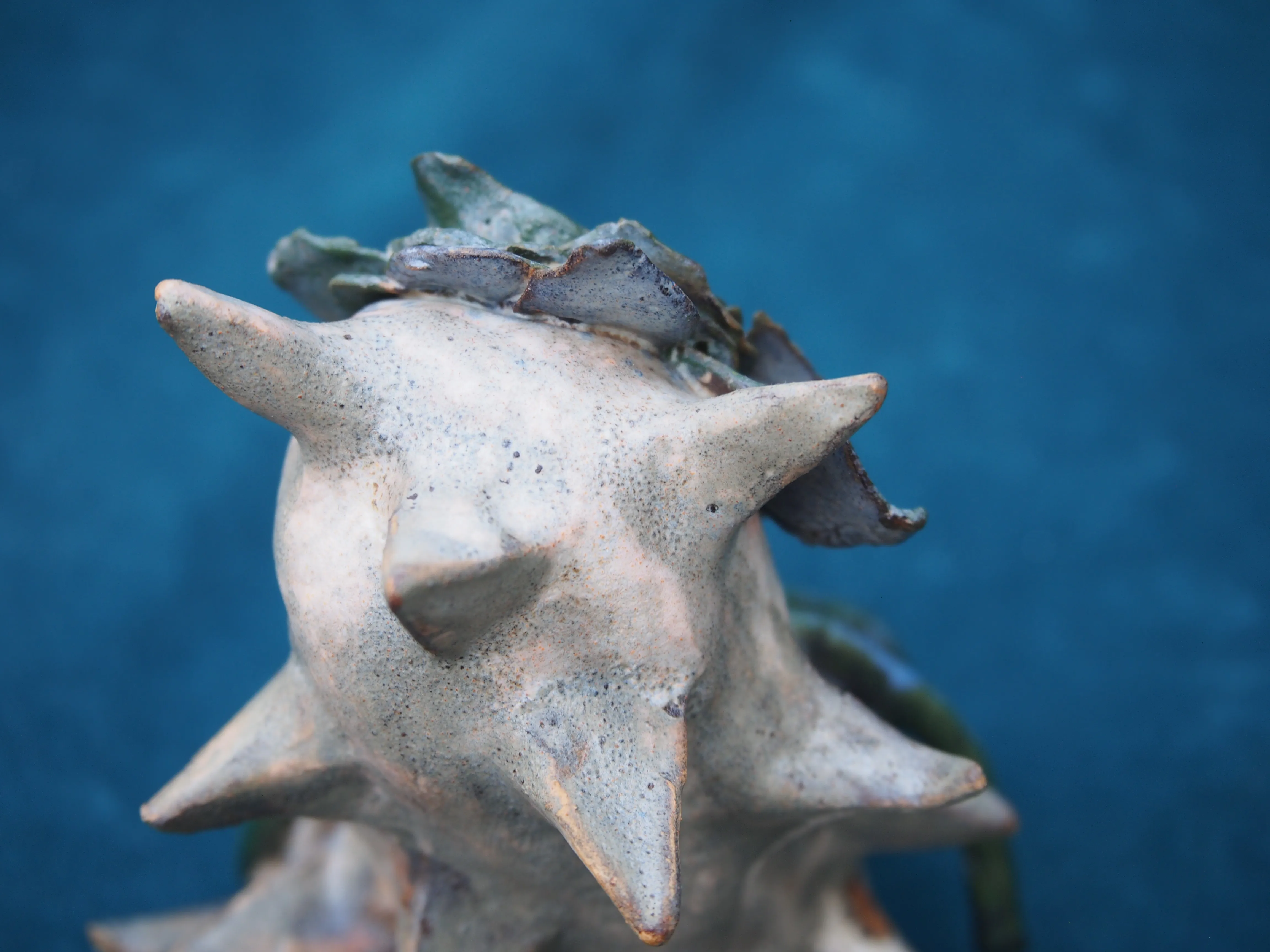 Gallery image for product-5