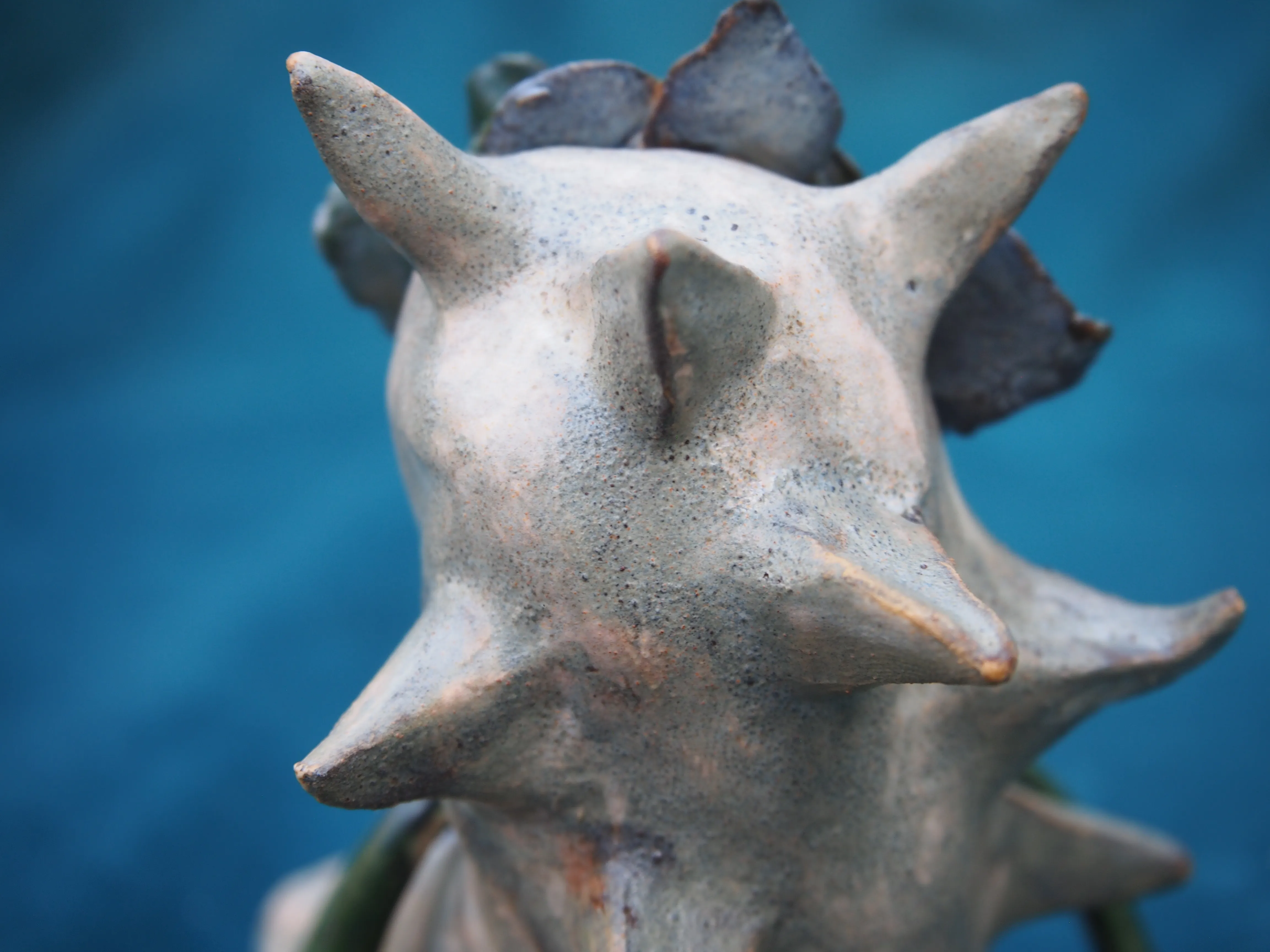 Gallery image for product-5