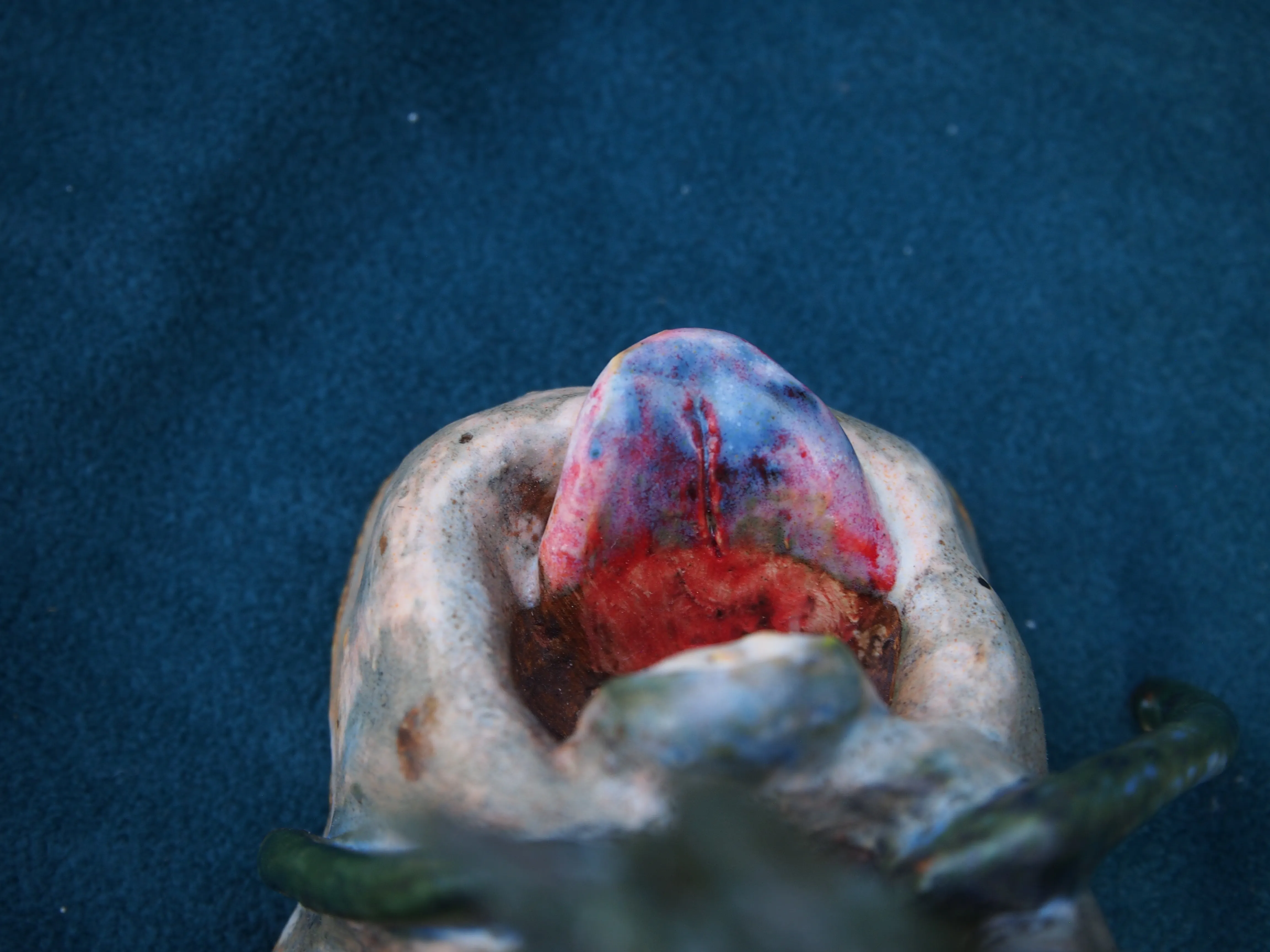 Gallery image for product-5